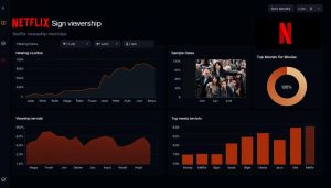 Netflix viewership metrics dashboard showing how Netflix Original Movies are measured